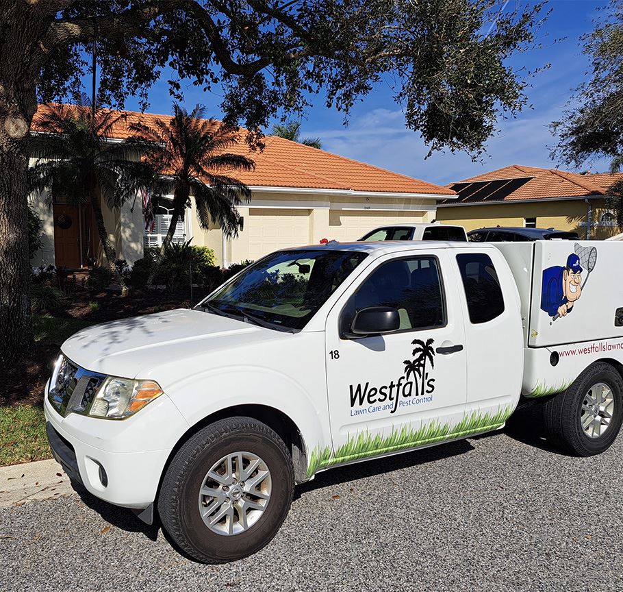 Quality Pest Control in Bradenton, FL Westfall's Lawn Care and Pest