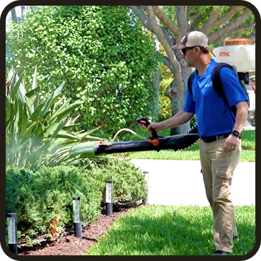Lawn Care