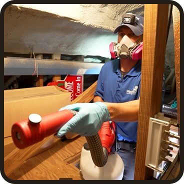 Termite Control