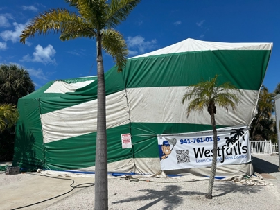 Termite Swarming Season in Southwest Florida: What Homeowners Need to Know