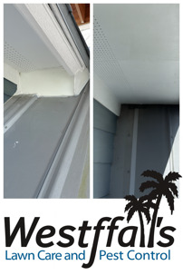 Protecting Your Home from Pests