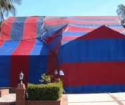 The Ultimate Guide to Fumigation: How It Works & Why Your Property May Need It