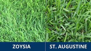 Lawn Wars: St. Augustine vs. Zoysia