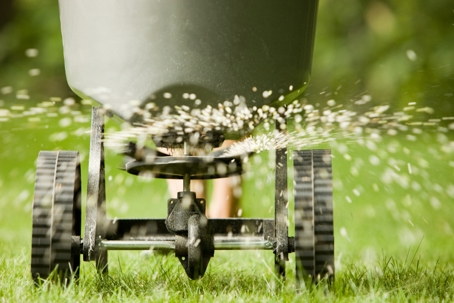 Lawn fertilizer being spread