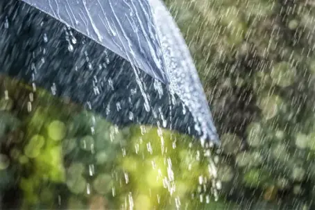 Seasonal Drought Conditions in Southwest Florida: What It Means for Your Lawn