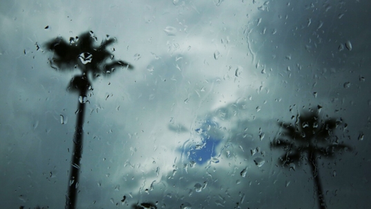 Rain, Rain, Grow Away!!