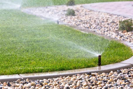 The Ultimate Guide to Watering Your Lawn