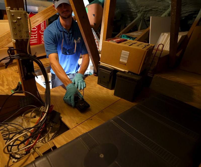 What to Expect During a Rodent Inspection in Bradenton