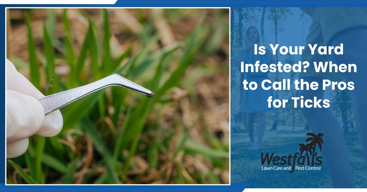 Is Your Yard Infested? When to Call the Pros for Ticks