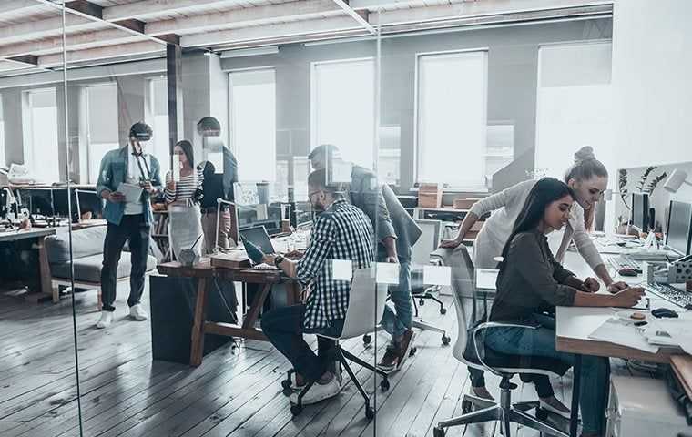 Employees working in an office