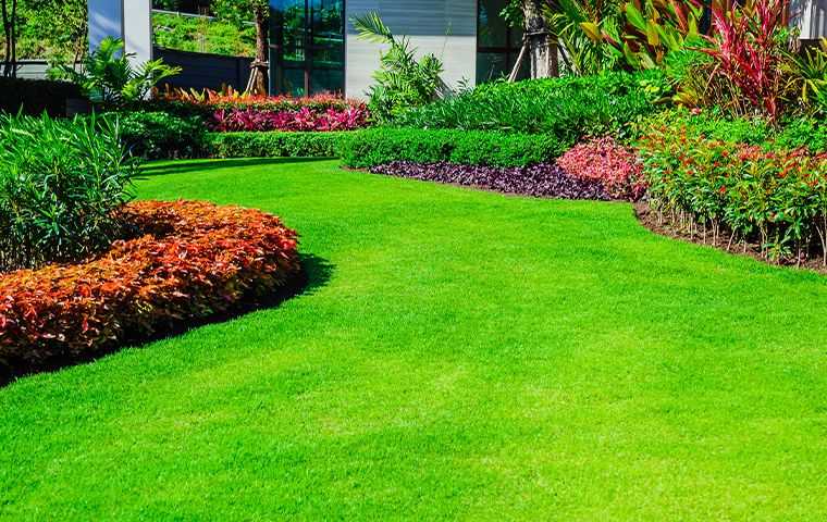 lawn with landscaping