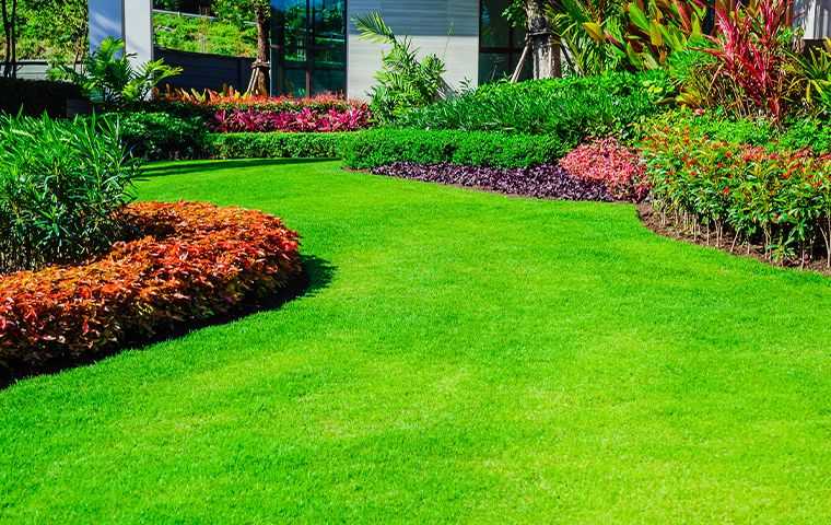 lawn with landscaping